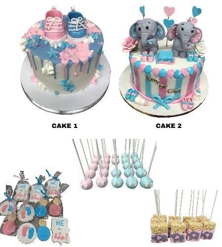 GENDER REVEAL PARTY PACK